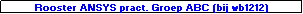 Text Box: Rooster ANSYS pract. Groep ABC (bij wb1212)