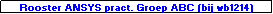 Text Box: Rooster ANSYS pract. Groep ABC (bij wb1214)